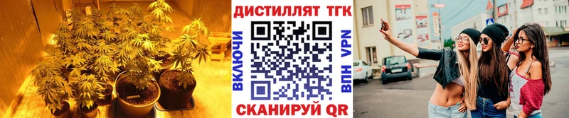 ТГК жижа  Бакал 