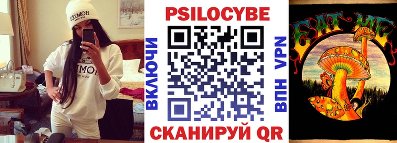 omg зеркало  купить наркотики цена  Бакал  Псилоцибиновые грибы Cubensis 
