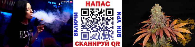 Марихуана конопля  hydra зеркало  Бакал 